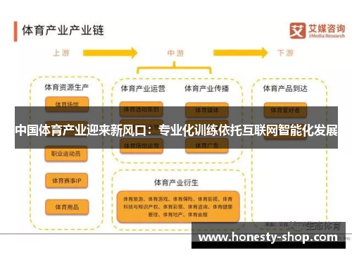 中国体育产业迎来新风口：专业化训练依托互联网智能化发展